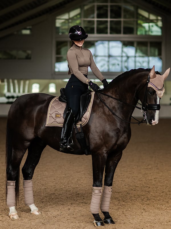 Dressyrschabrak Champagne