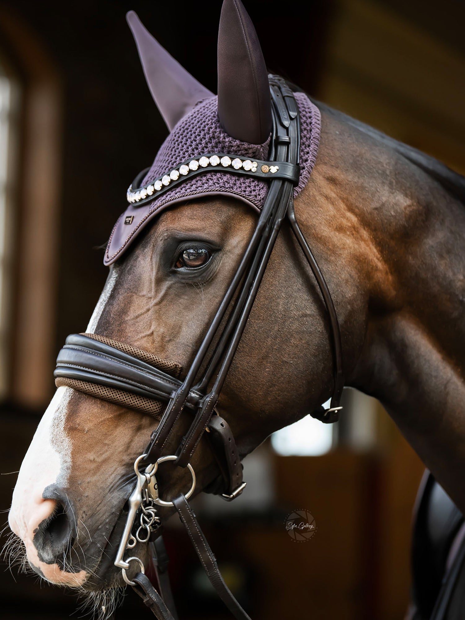 Chin Protector Brown