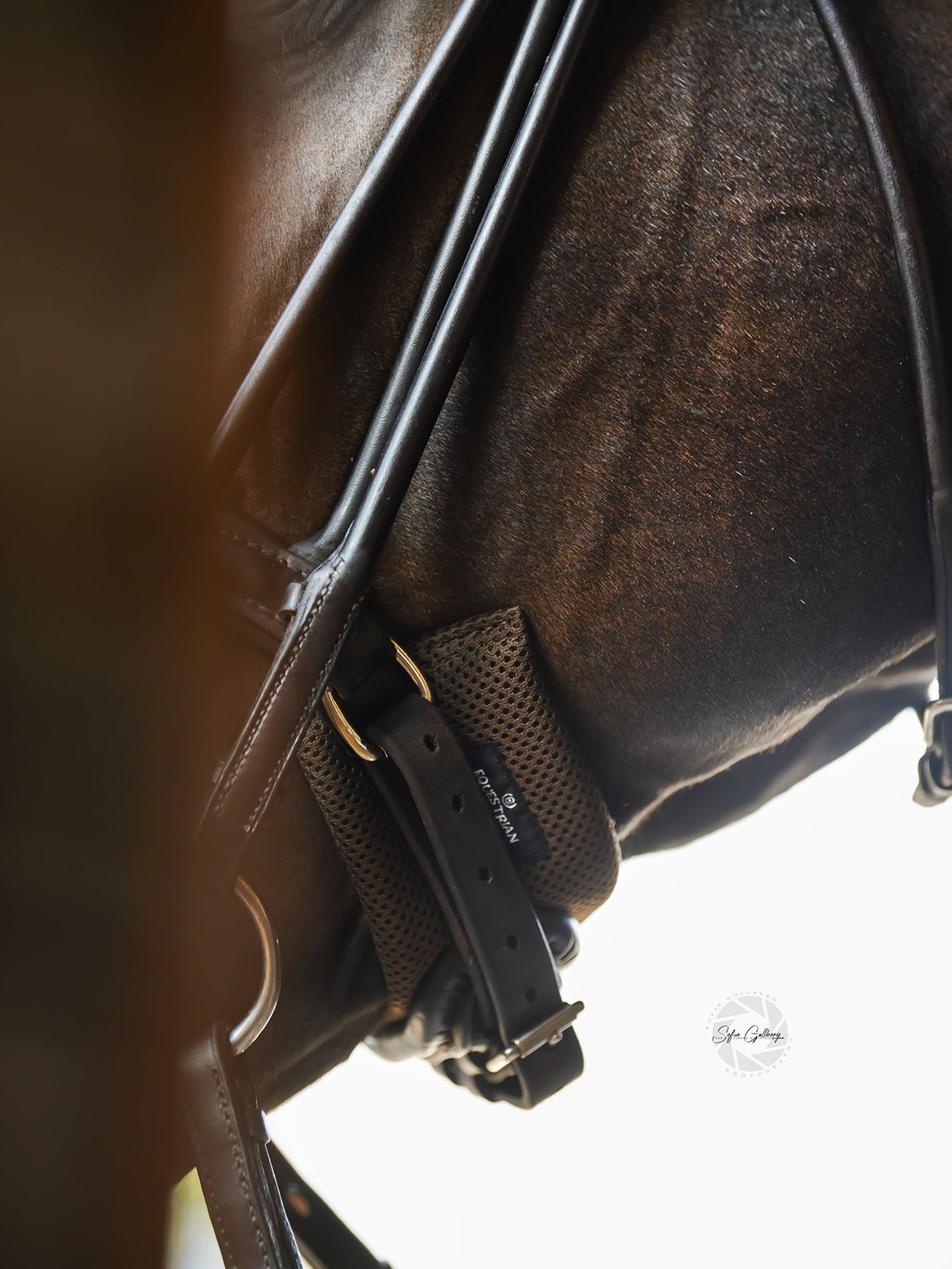 Chin Protector Brown