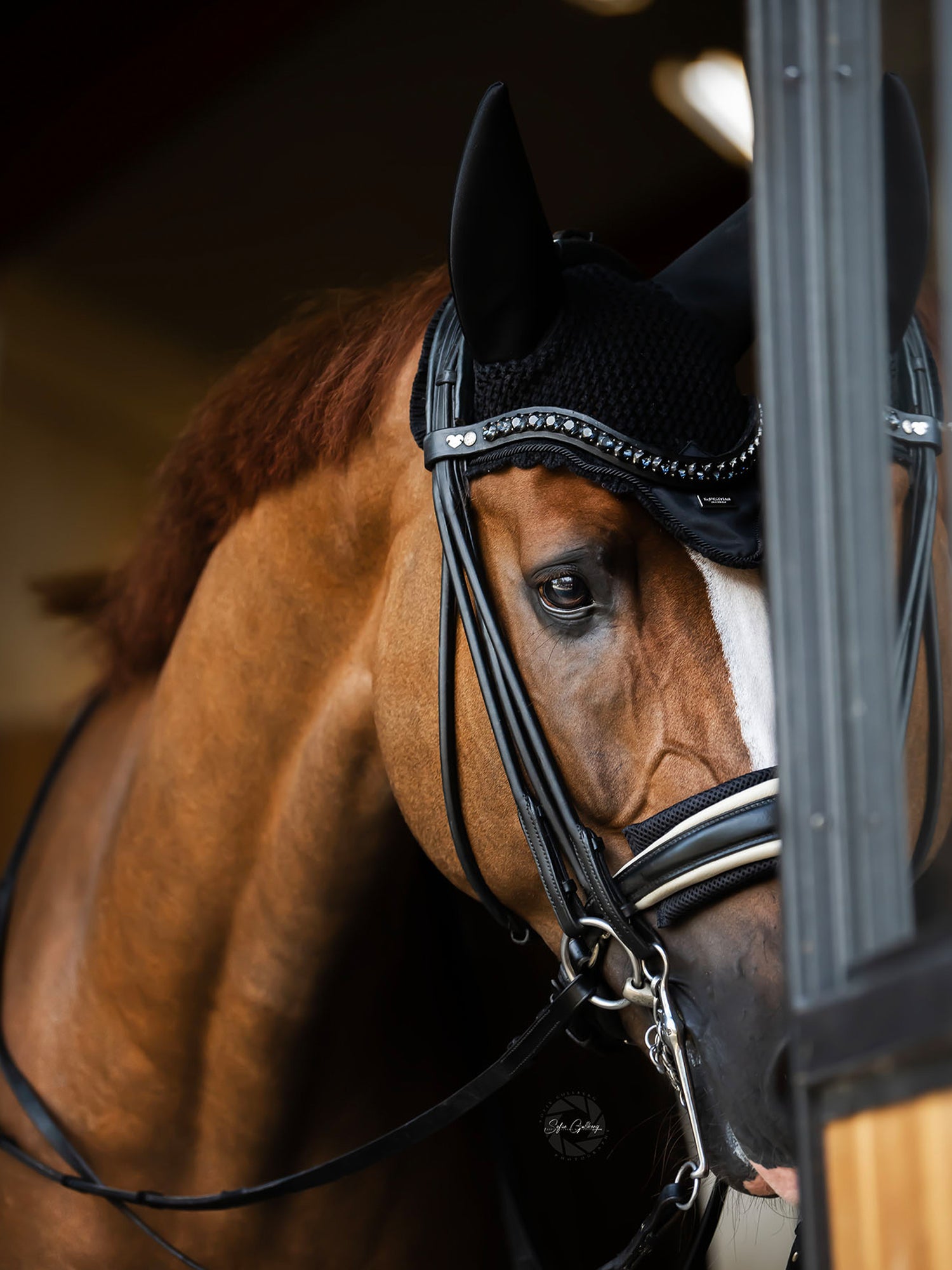 Chin Protector Black