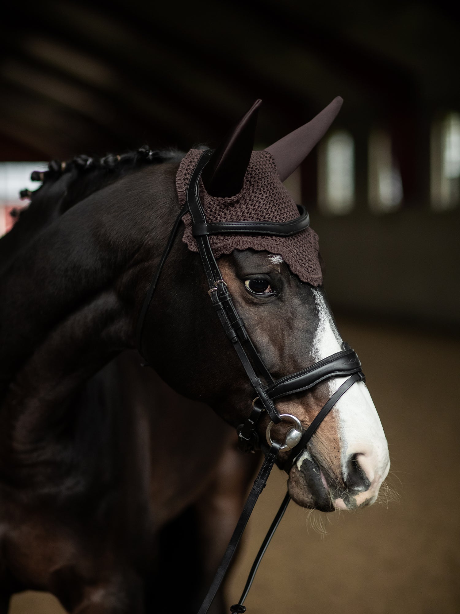 Soundless Ear Bonnet Clean Brown