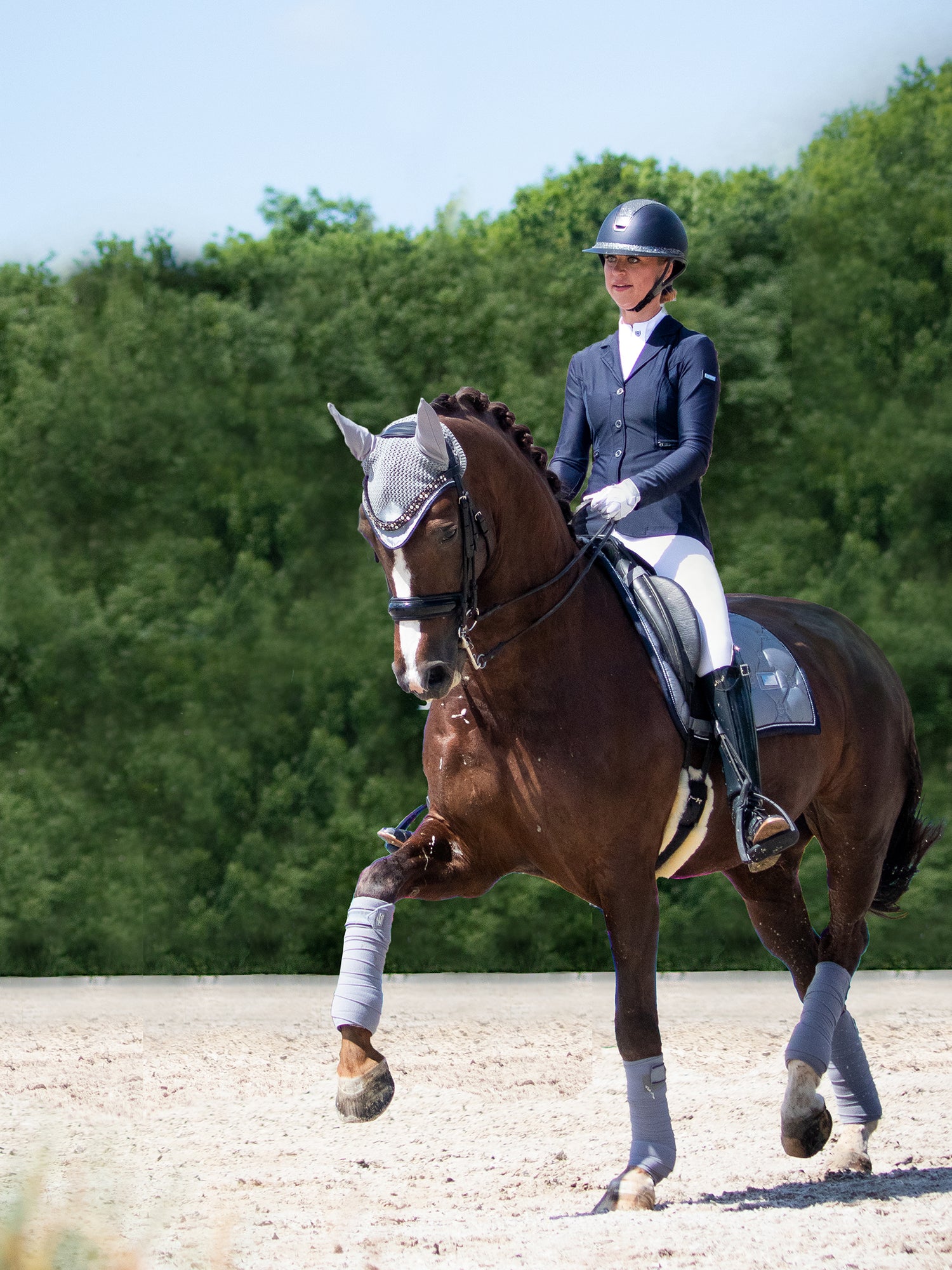 Dressyrschabrak Crystal Grey