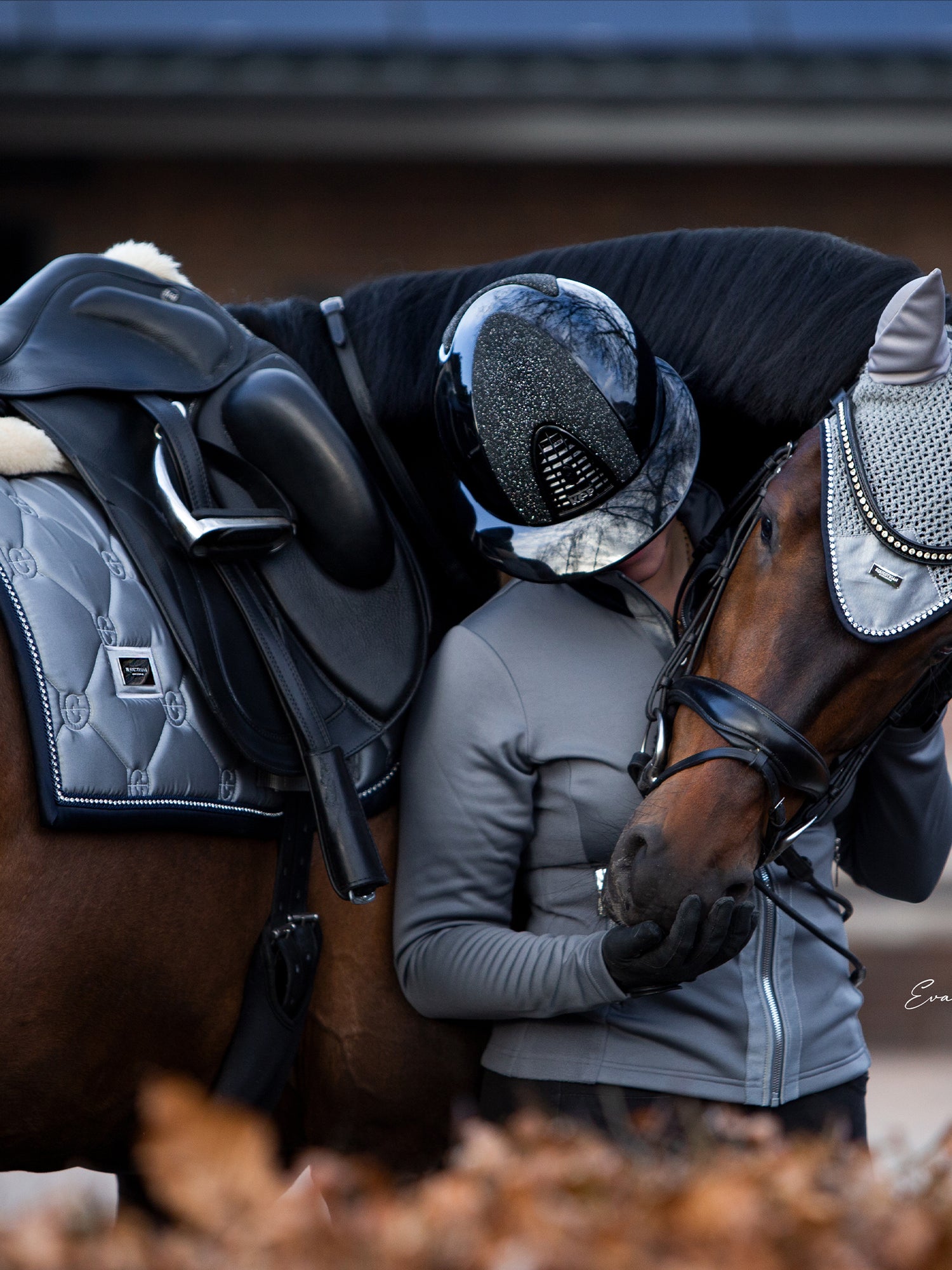 Dressyrschabrak Crystal Grey