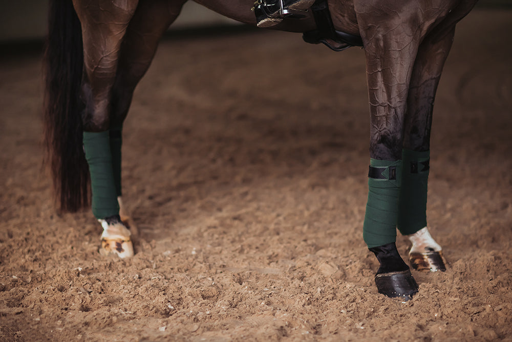 Polo Wraps Deep Olivine