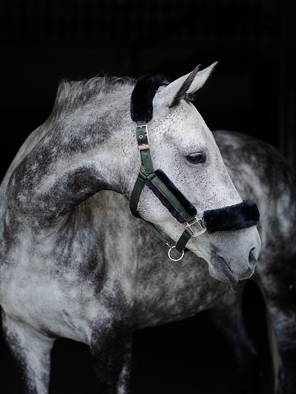 Fur Halter & Lead Rope Deep Olivine