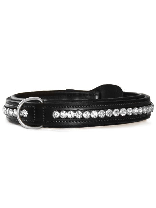 Dog Collar Black Edition