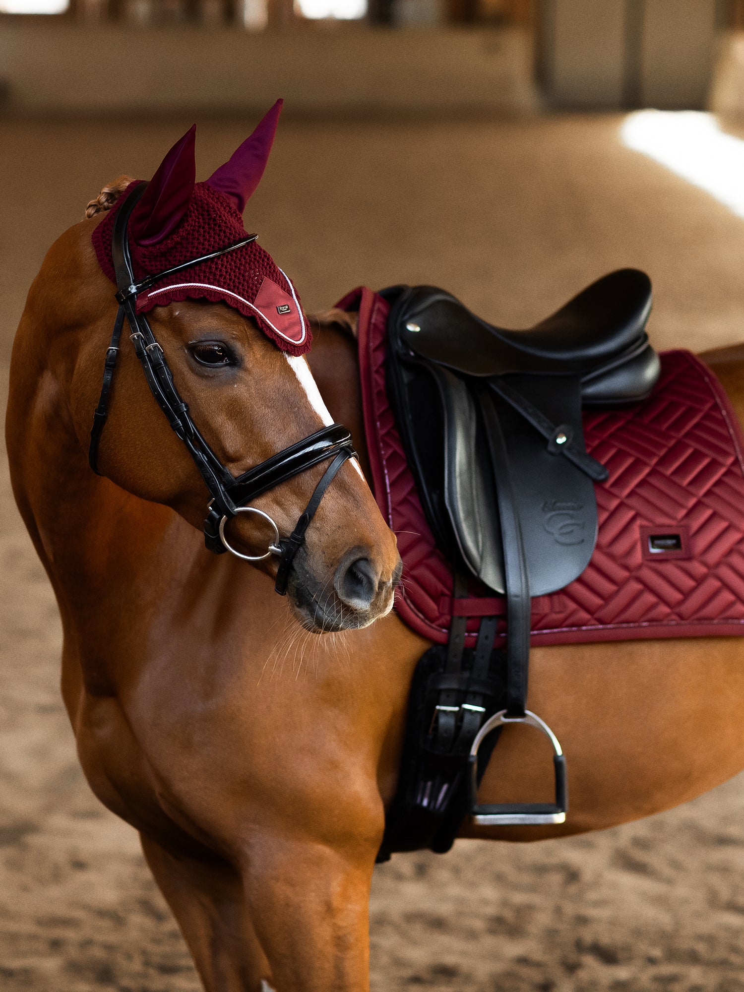 Dressage Saddle Pad Modern Bordeaux