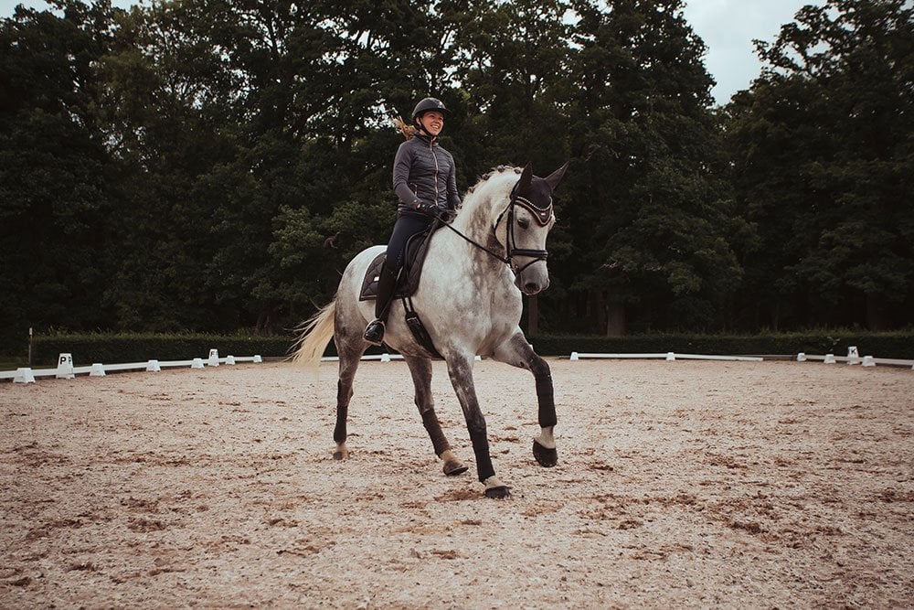 Dressurschabracke Dark Sky