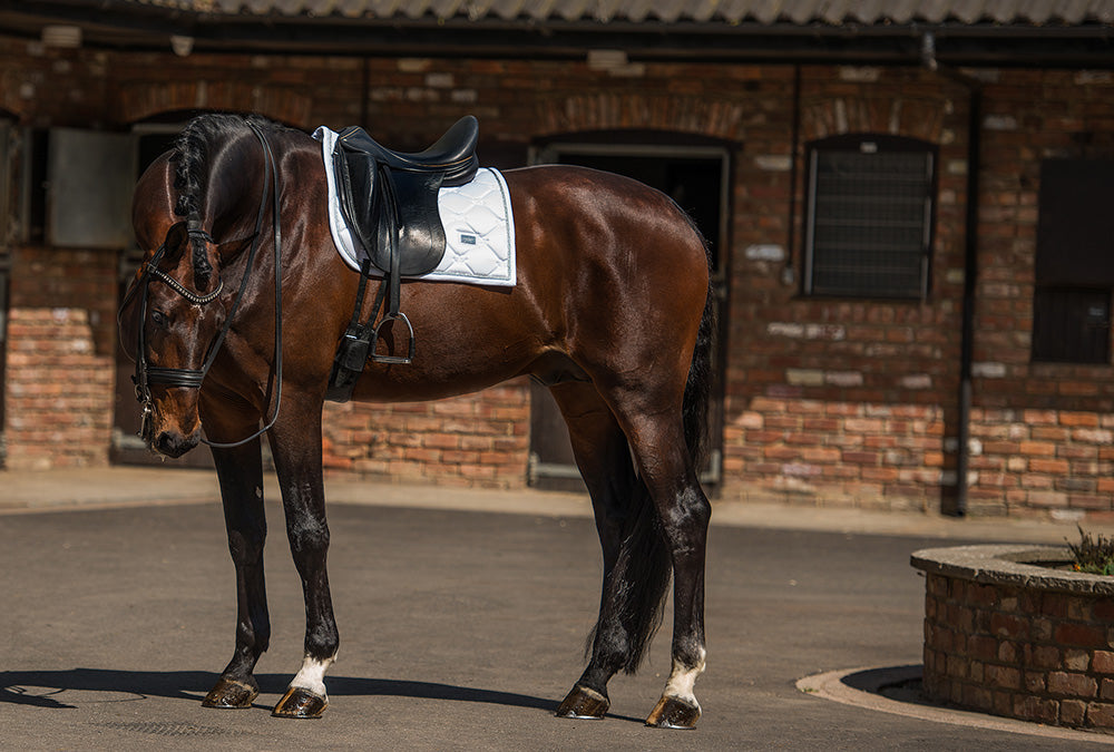 Dressyrschabrak White Perfection Silver