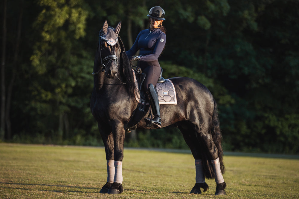 Dressyrschabrak Dusty Pink