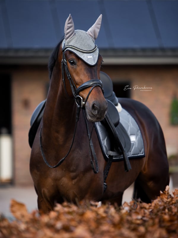 Ear Bonnet Crystal Grey