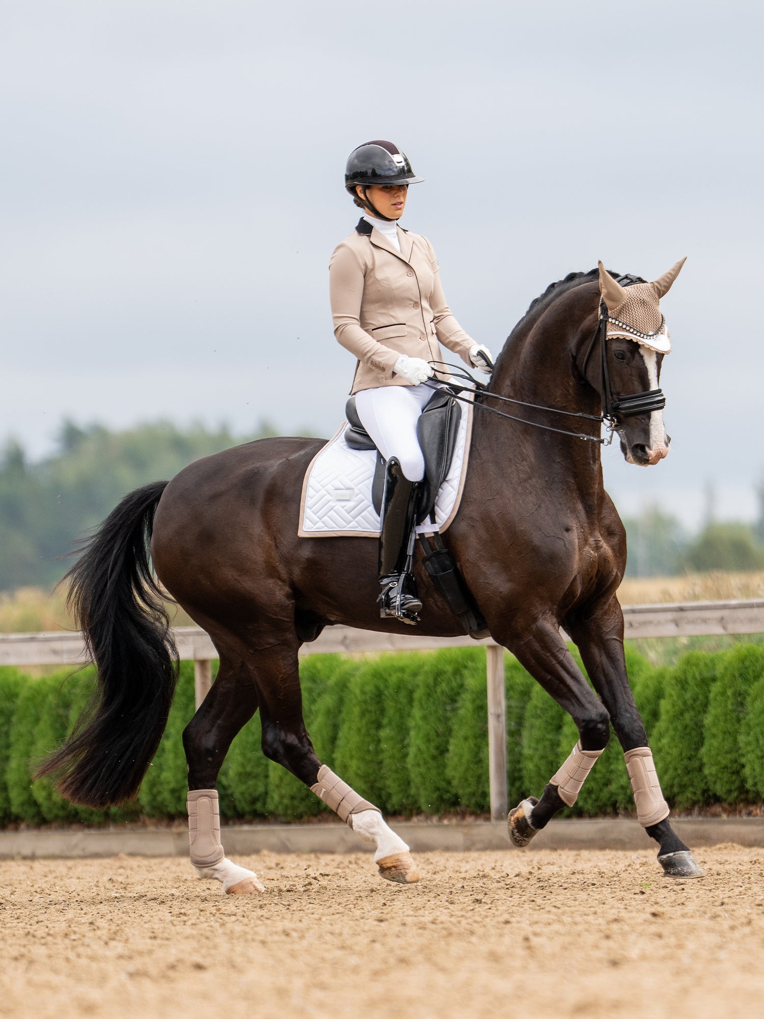 Dressage Saddle Pad Modern White Sand