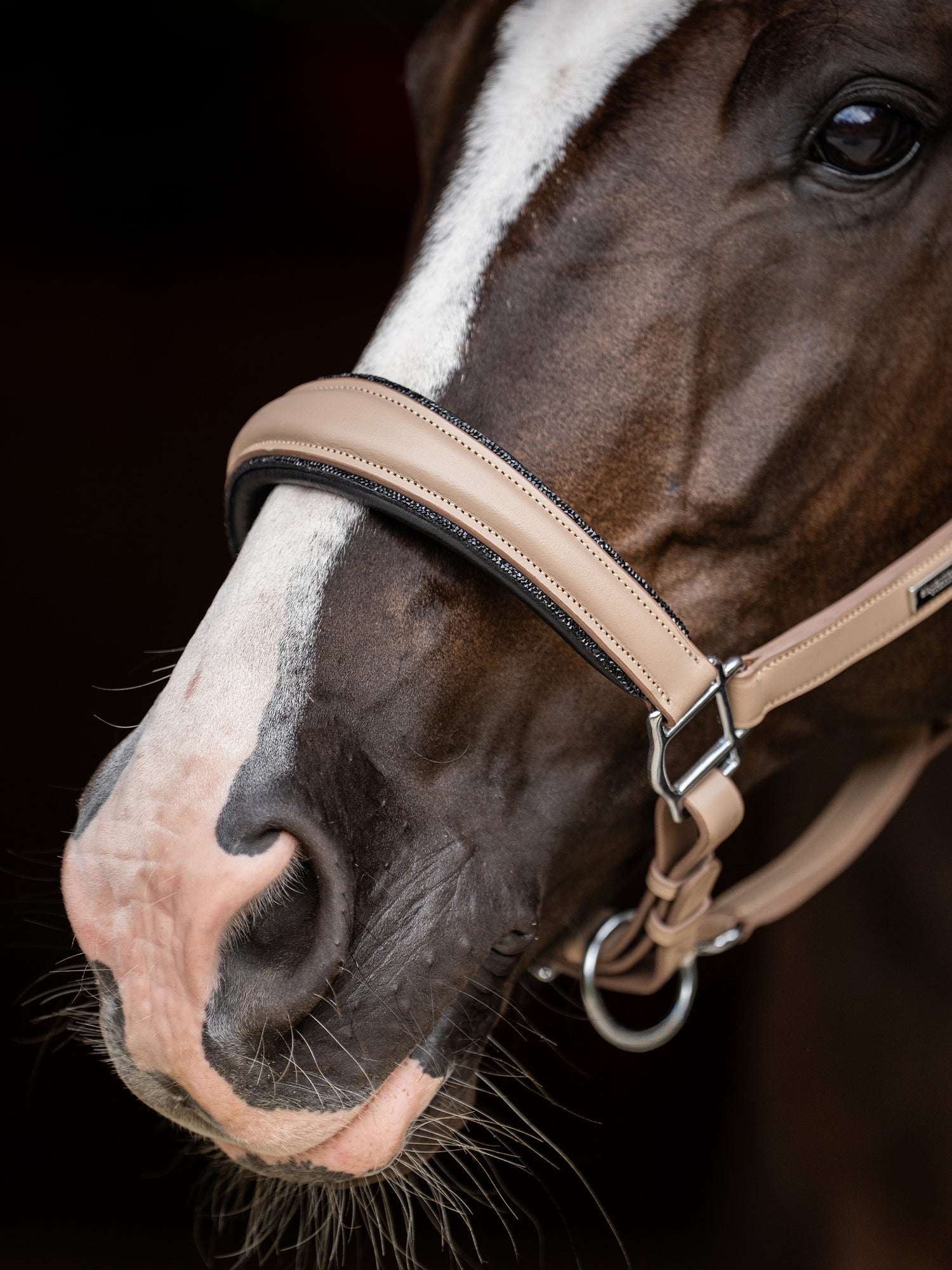 Anatomic Glimmer Leather Halter Sand