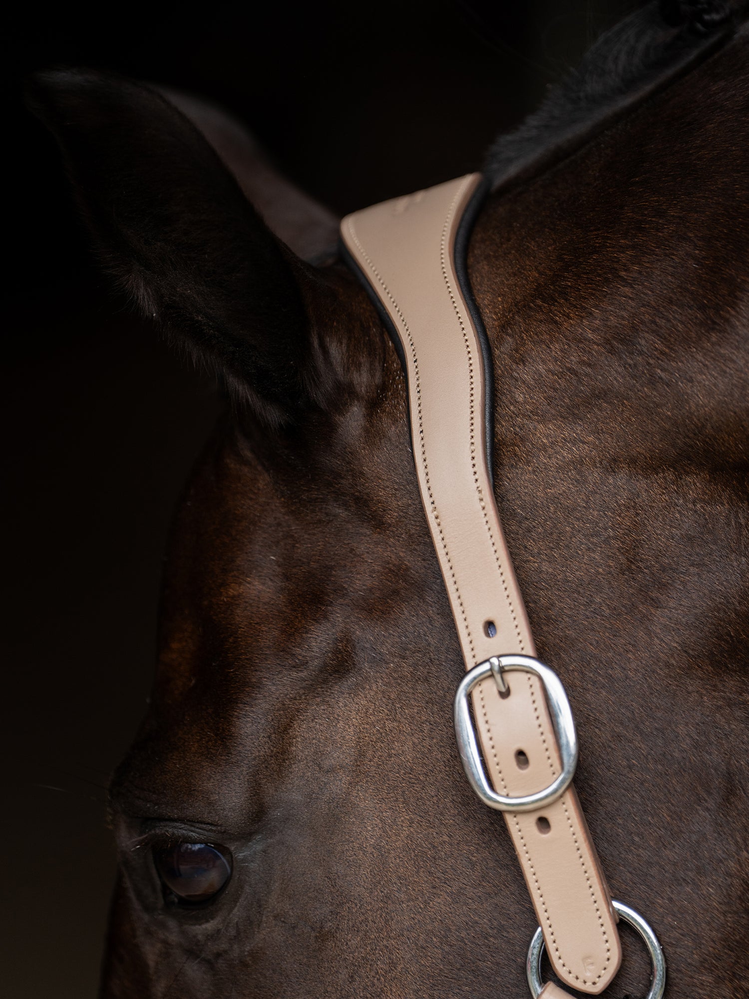 Anatomic Glimmer Leather Halter Sand