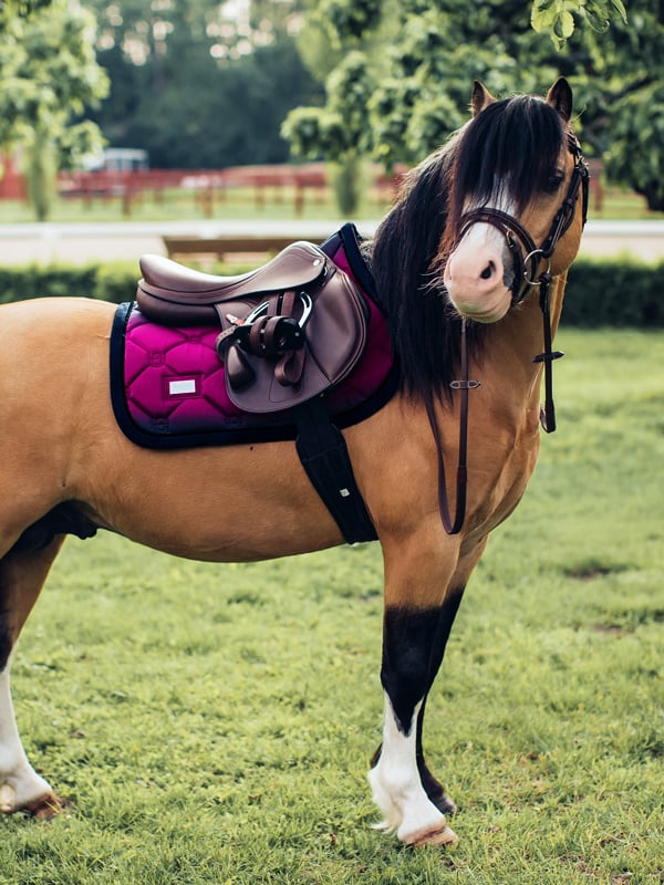 Spring Zadeldekje Faded Fuchsia