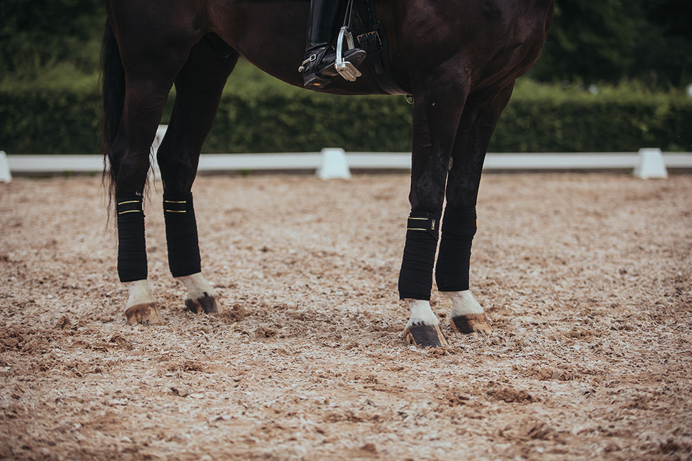 Polo Wraps Black Gold