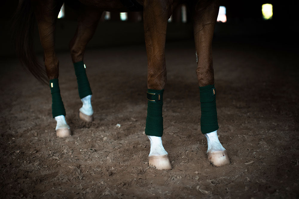 Polo Wraps Forest Green