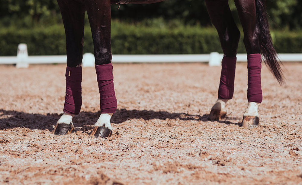 Polo Wraps Purple White Edge