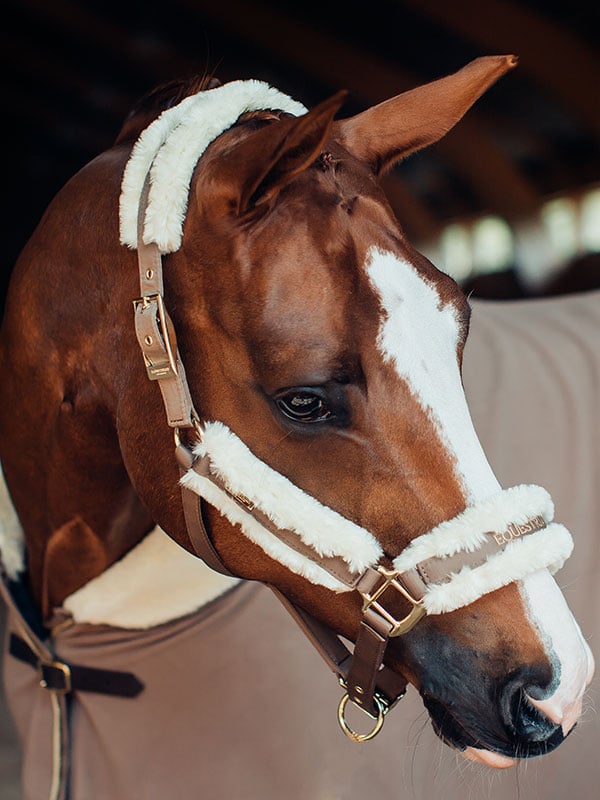 Fleece Blanket Fur Champagne