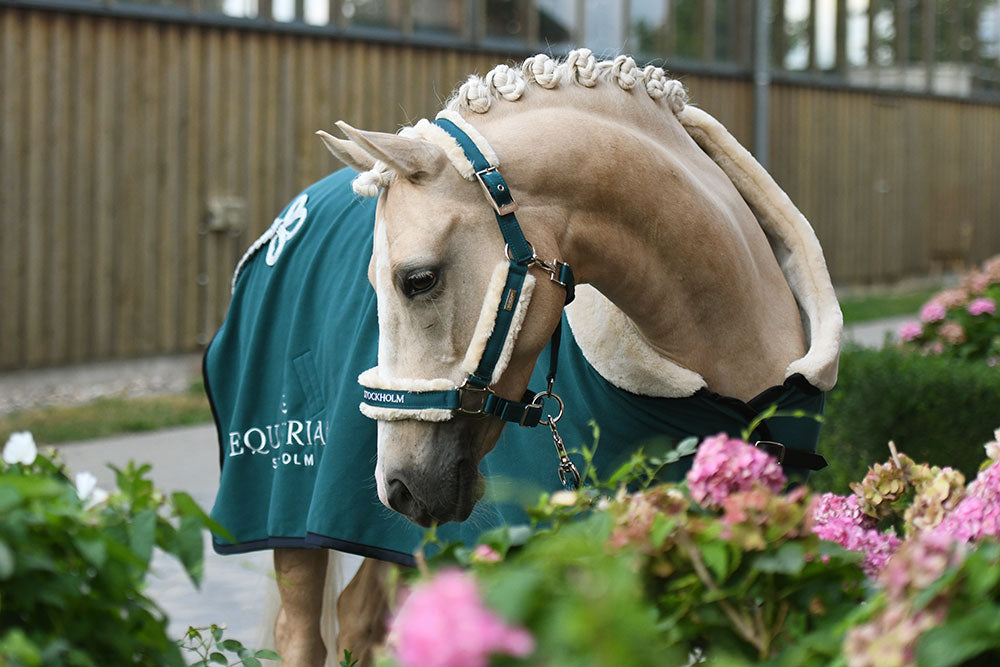 Fur Halter & Lead Rope Emerald