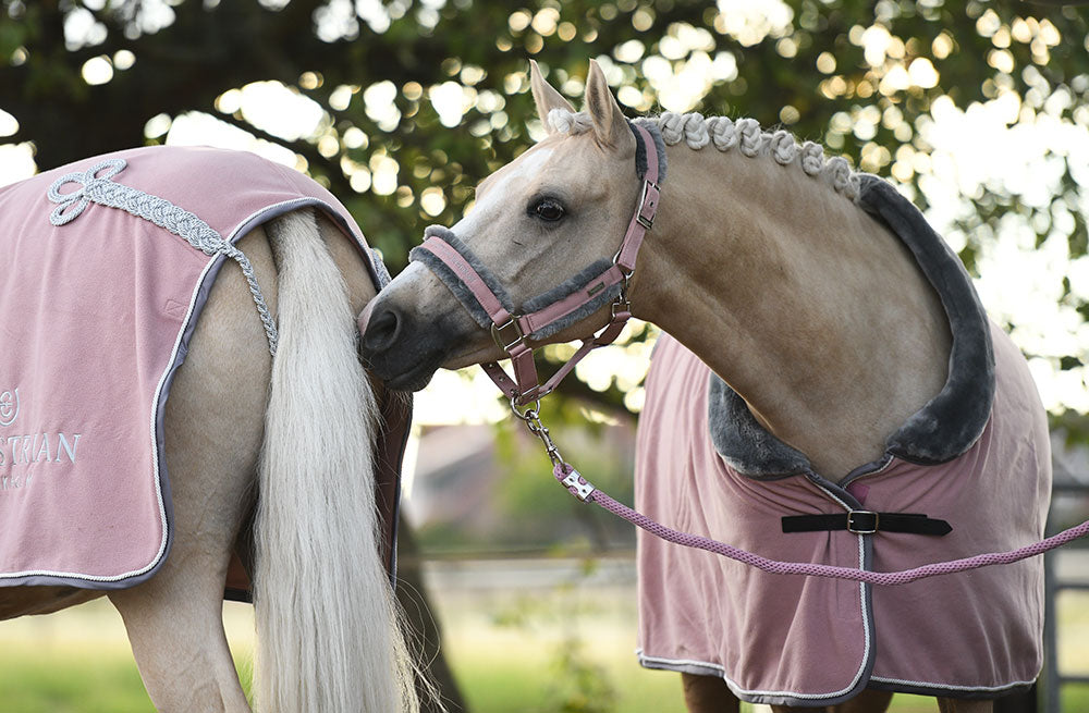 Fur Halter & Lead Rope Pink