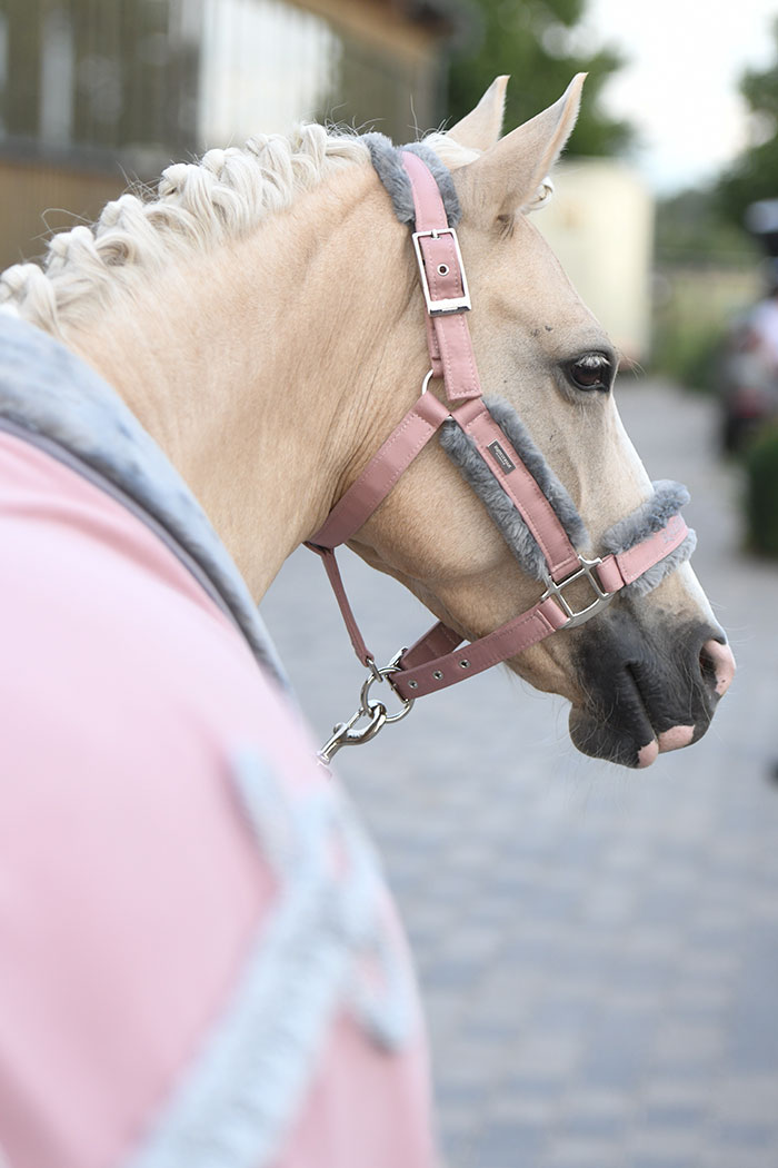 Fur Halter & Lead Rope Pink