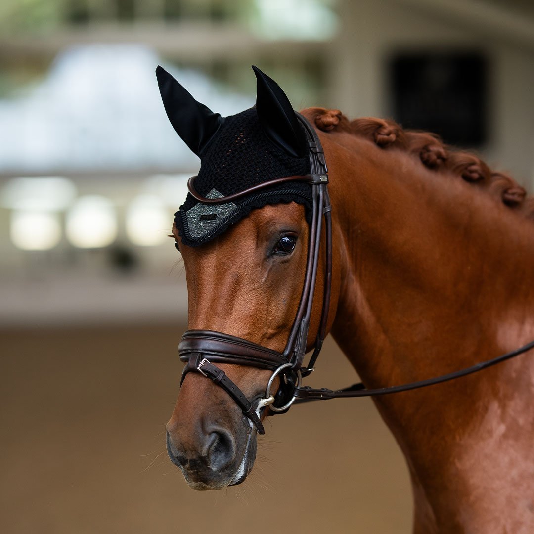 Northern Light Glimmer