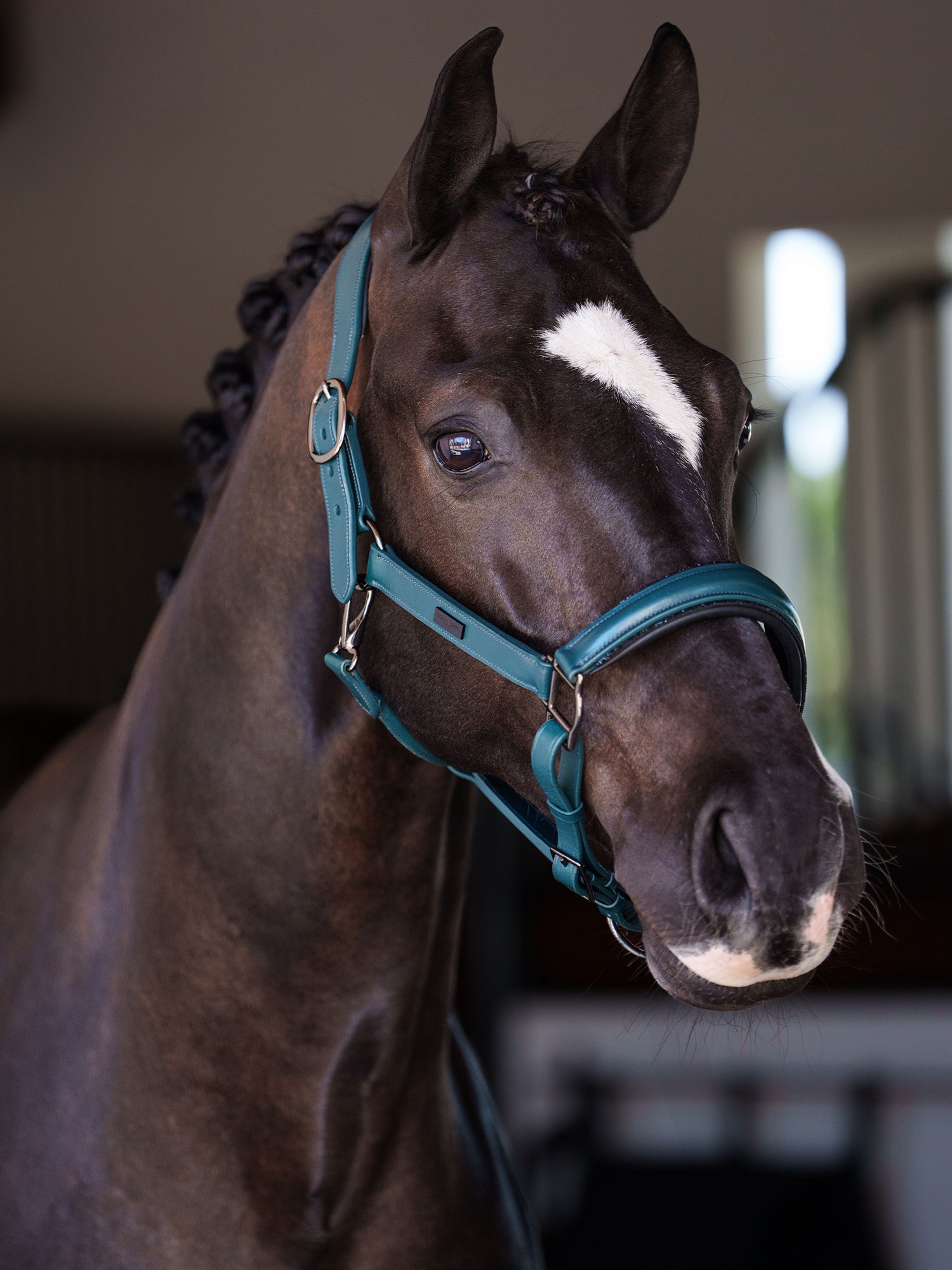 Licol en cuir anatomique Glimmer Teal Blue