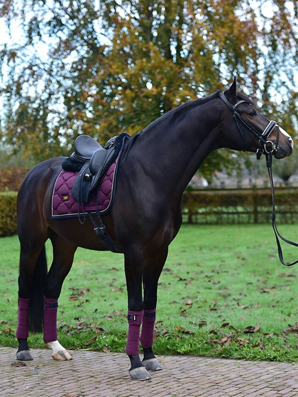 Polo Wraps Purple Gold