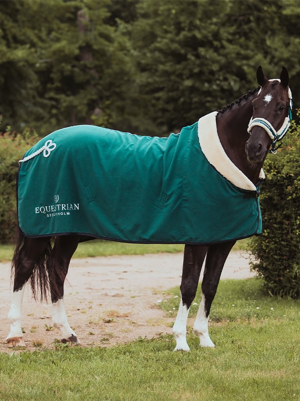 Fleece Blanket Fur Emerald
