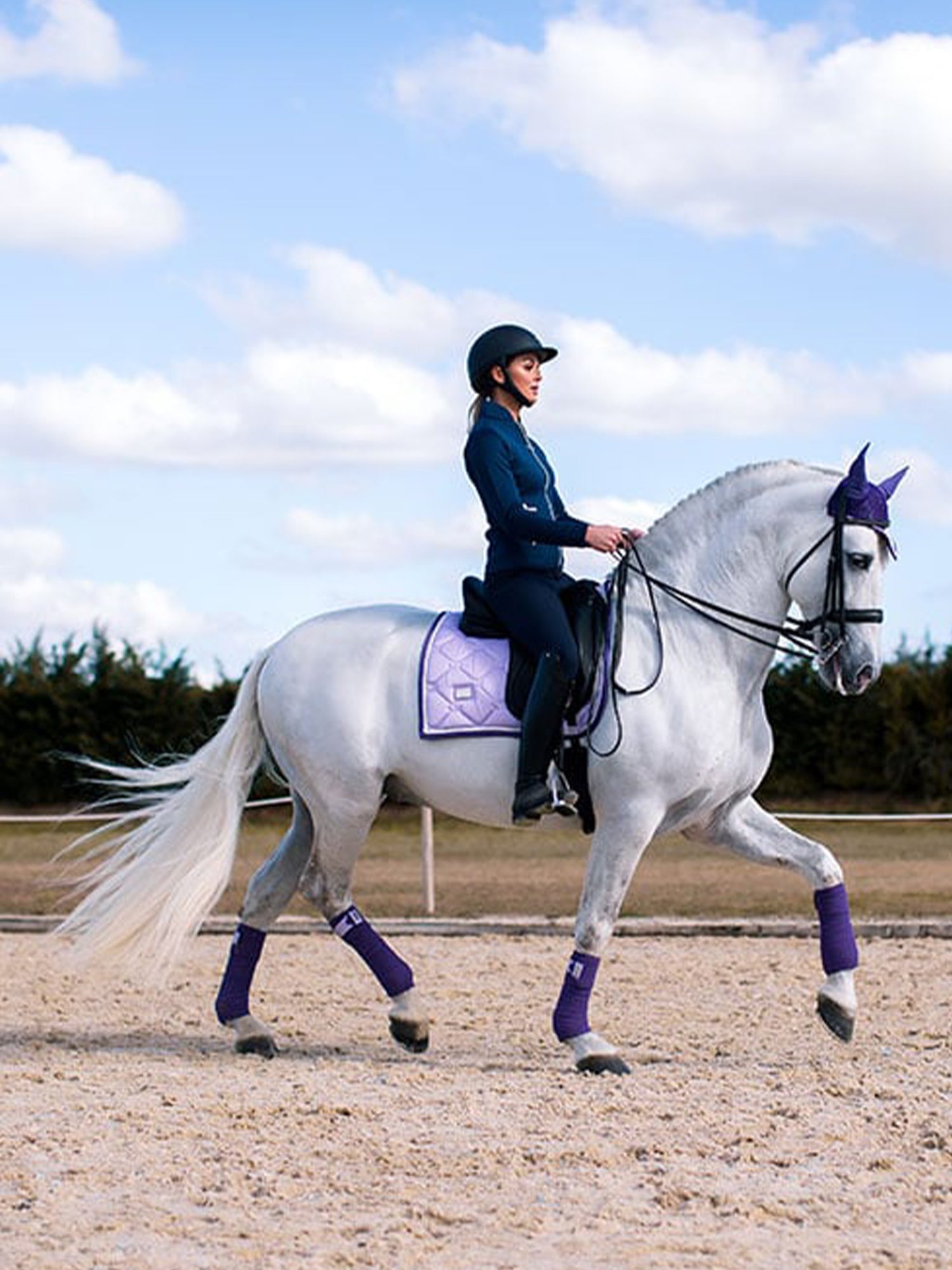 Dressage Saddle Pad Lavender