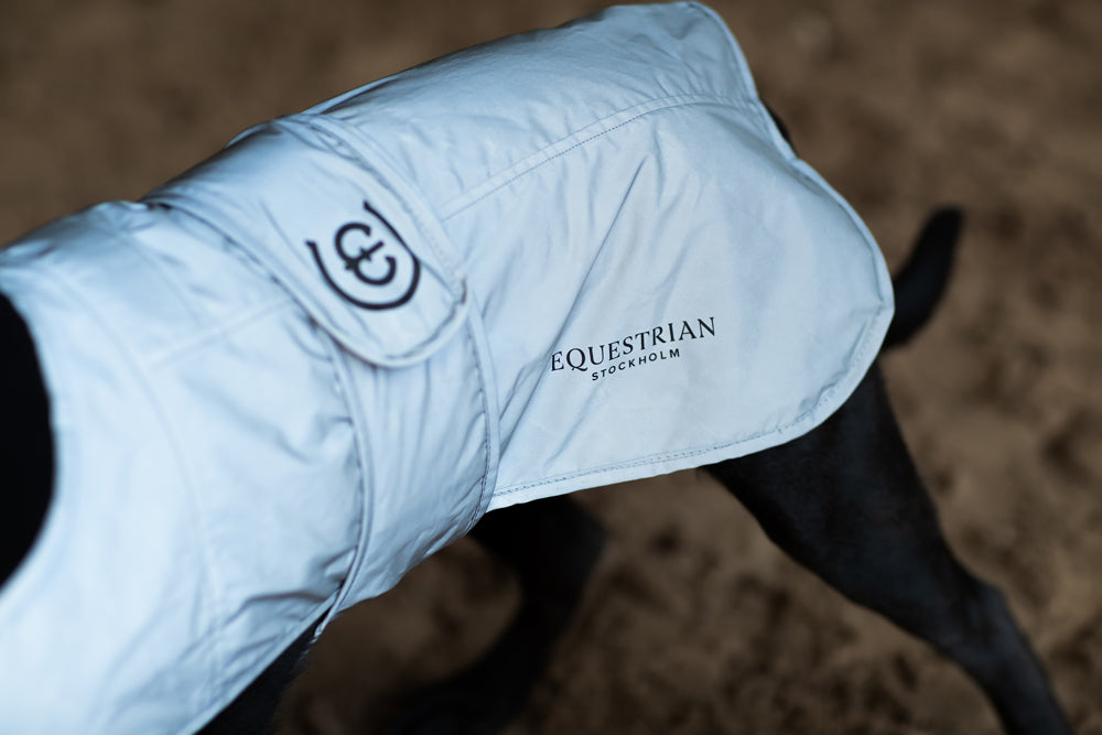 Reflective Dog Rug Luminous Black