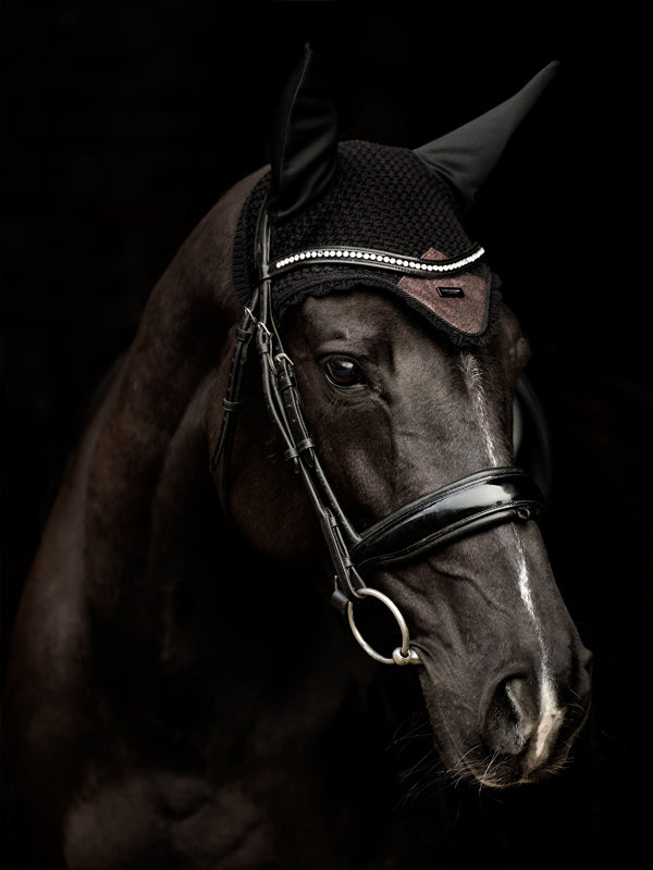 mahogany-glimmer-ear-net-huva-fliegenhaube-oornetje-hov