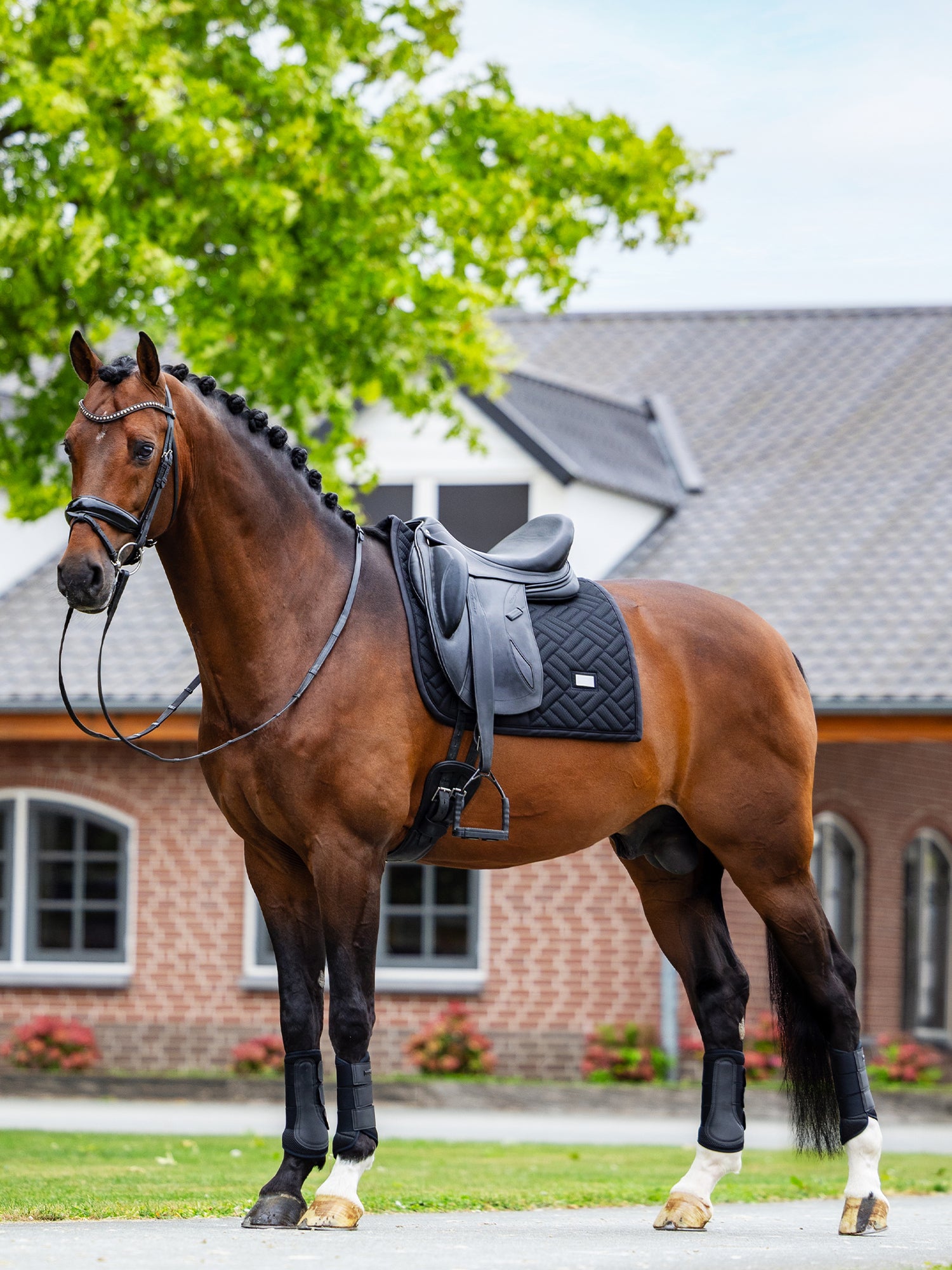 Dressage Saddle Pad Modern Mesh Black