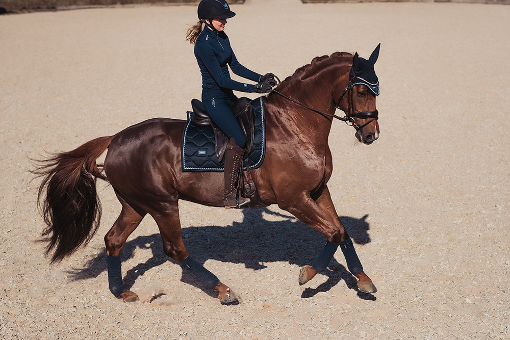 Rider and horse in Midnight Blue Fleece bandages