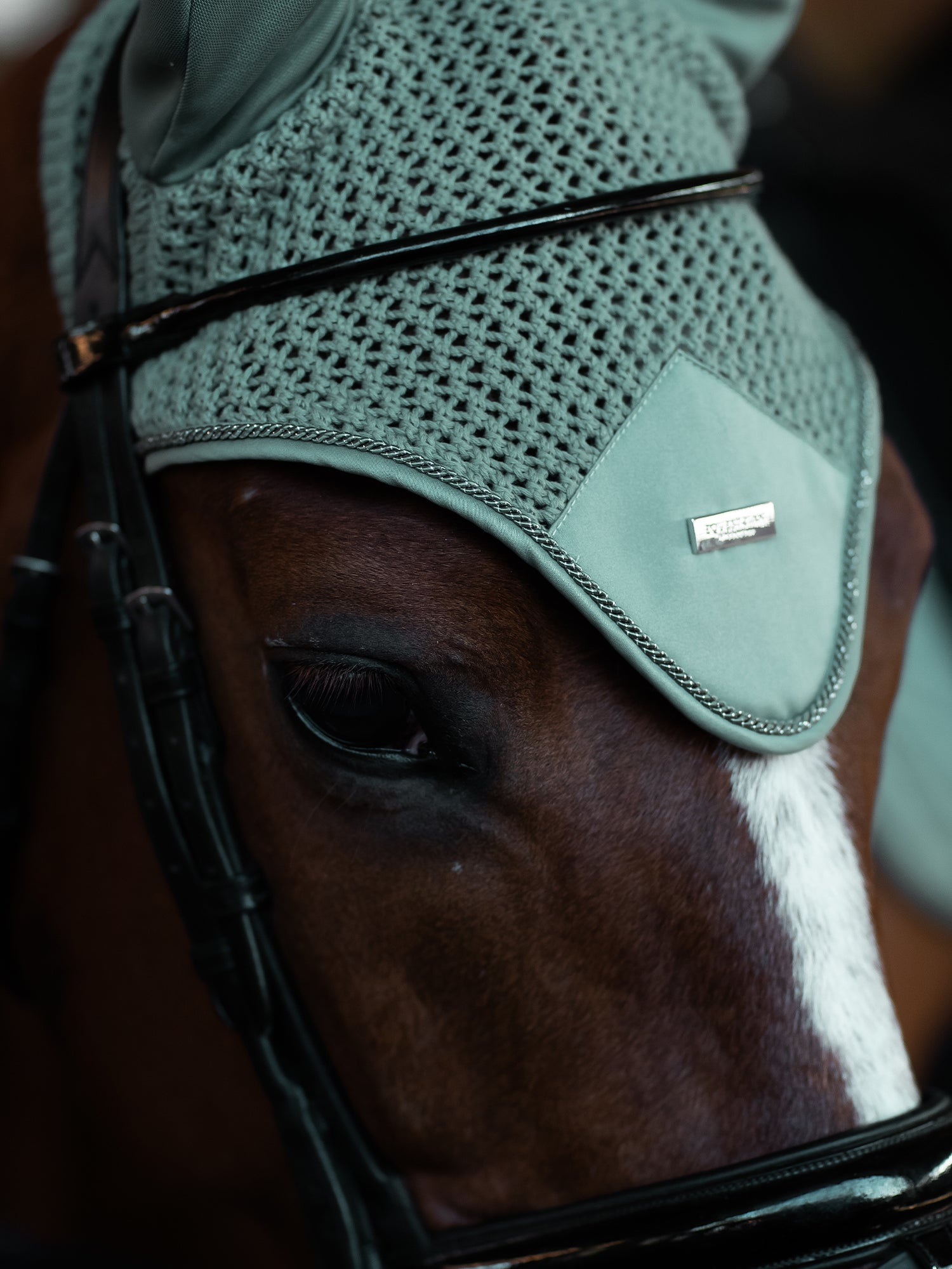 Ear Bonnet Modern Mint Green