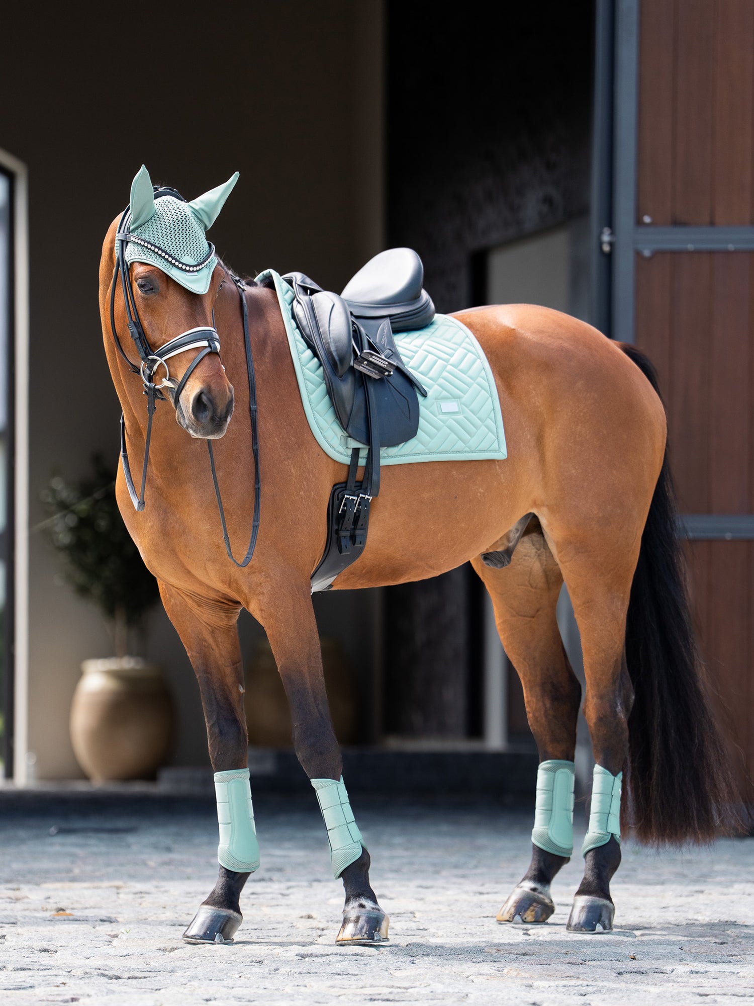 Dressage Saddle Pad Modern Mint Green