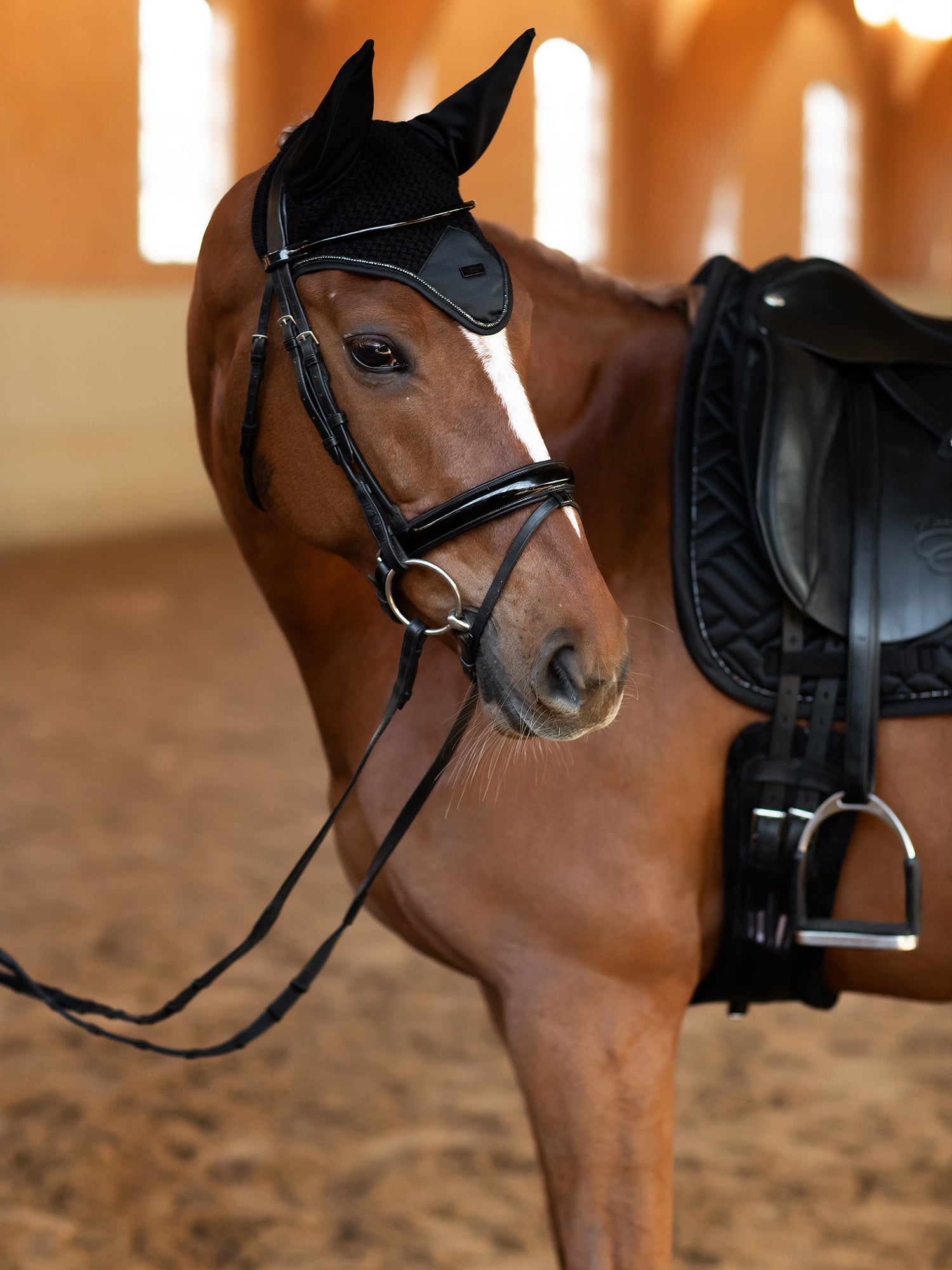 Fly Hood Modern Black