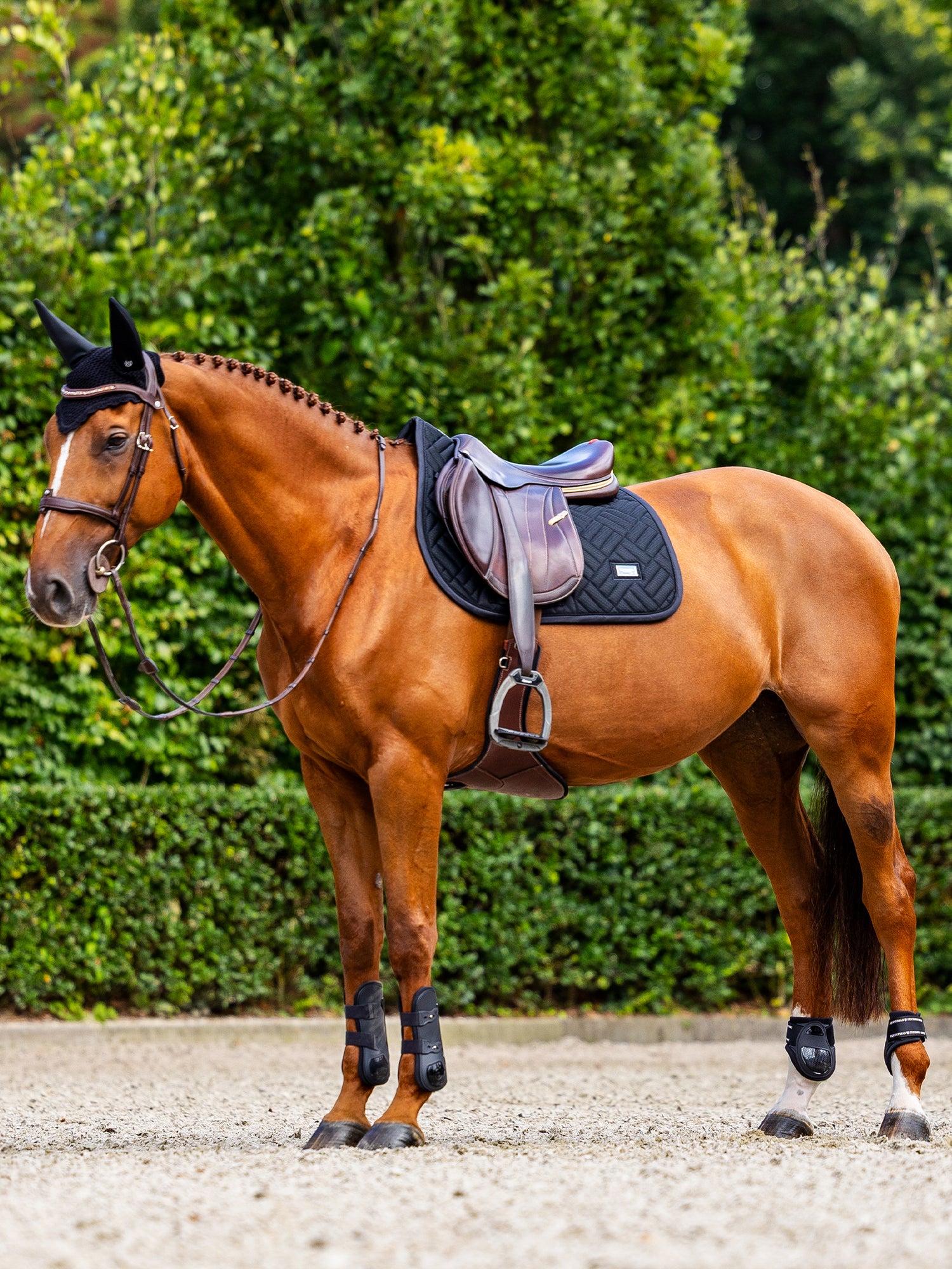 Jump Saddle Pad Modern Mesh Black
