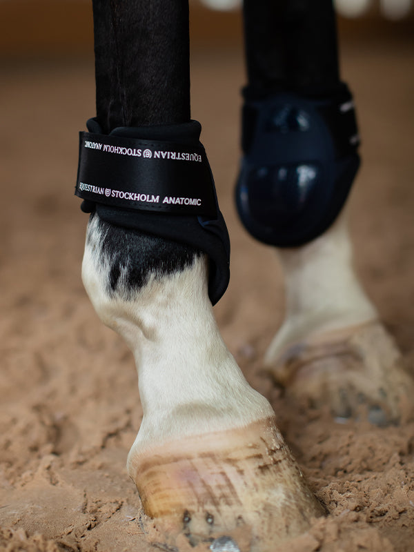 Anatomic Fetlock Boots Modern Tech Navy