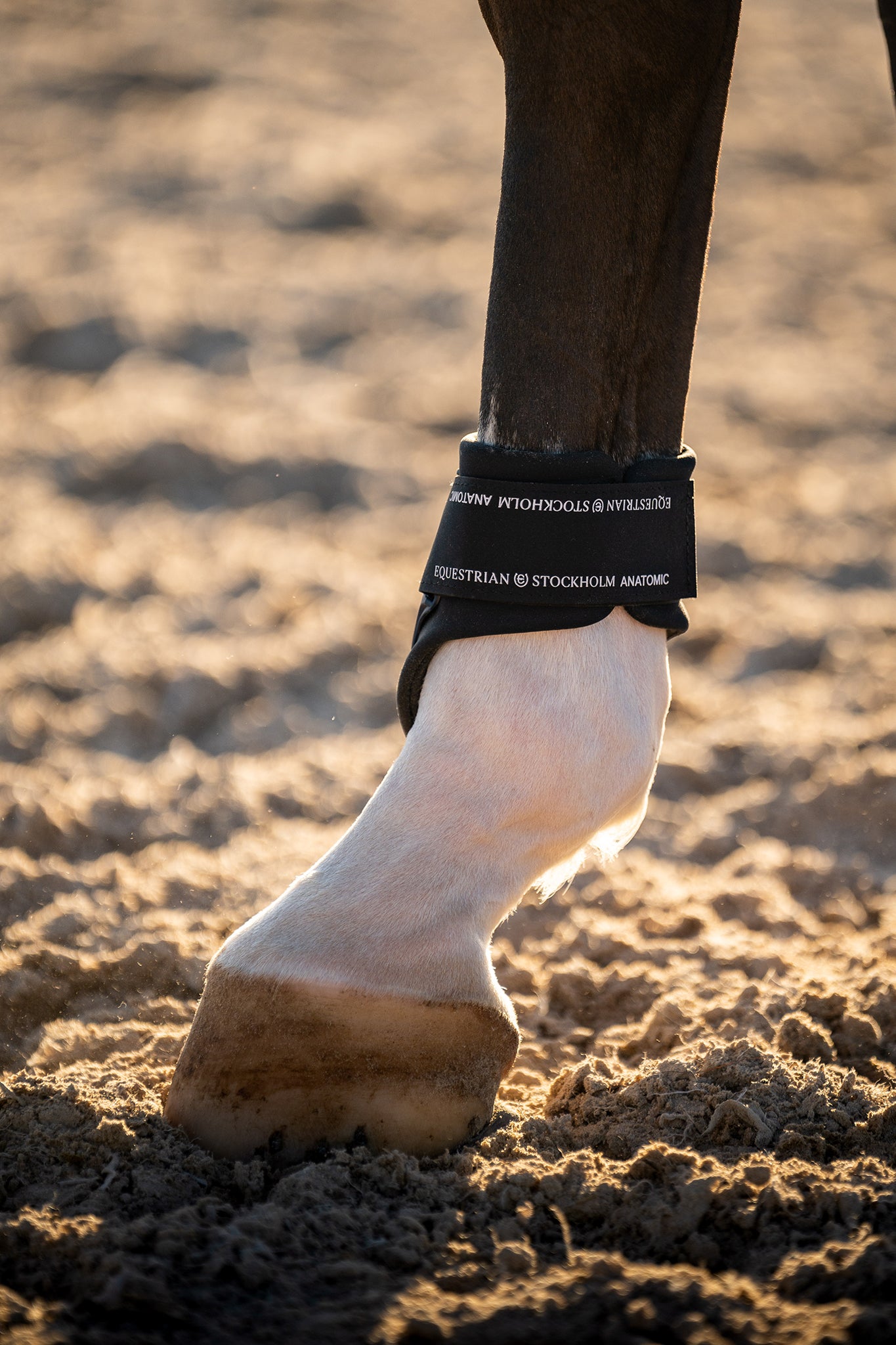 Anatomic Fetlock Boots Modern Tech Navy