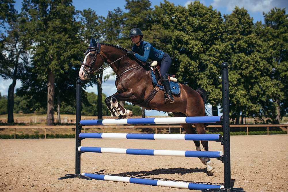 Riding Breeches Elite Navy