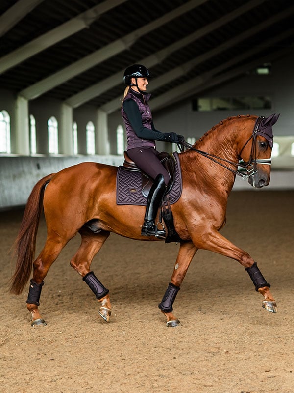 Dressage Saddle Pad Modern Moonless Night