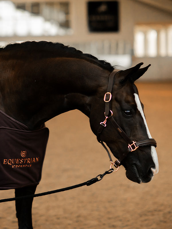 Glimmer Anatomic Leather Halter Moonless Night