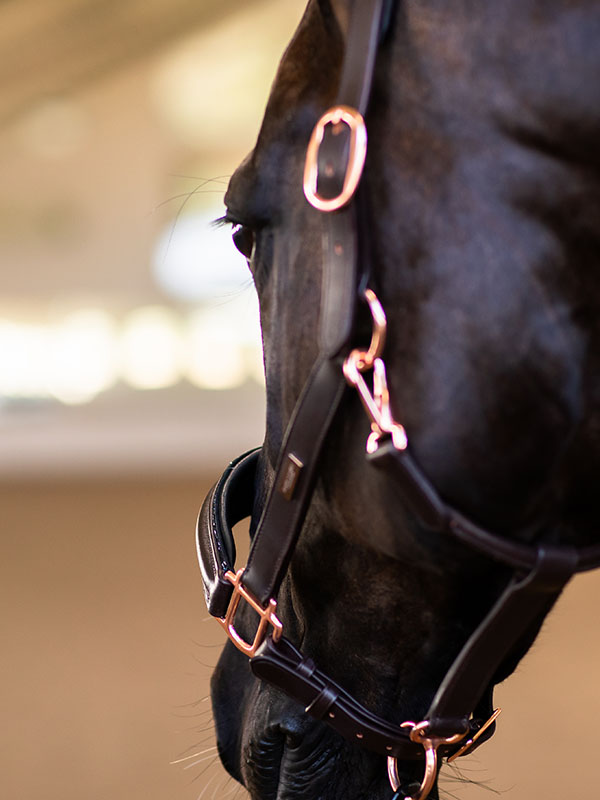 Glimmer Anatomic Leather Halter Moonless Night