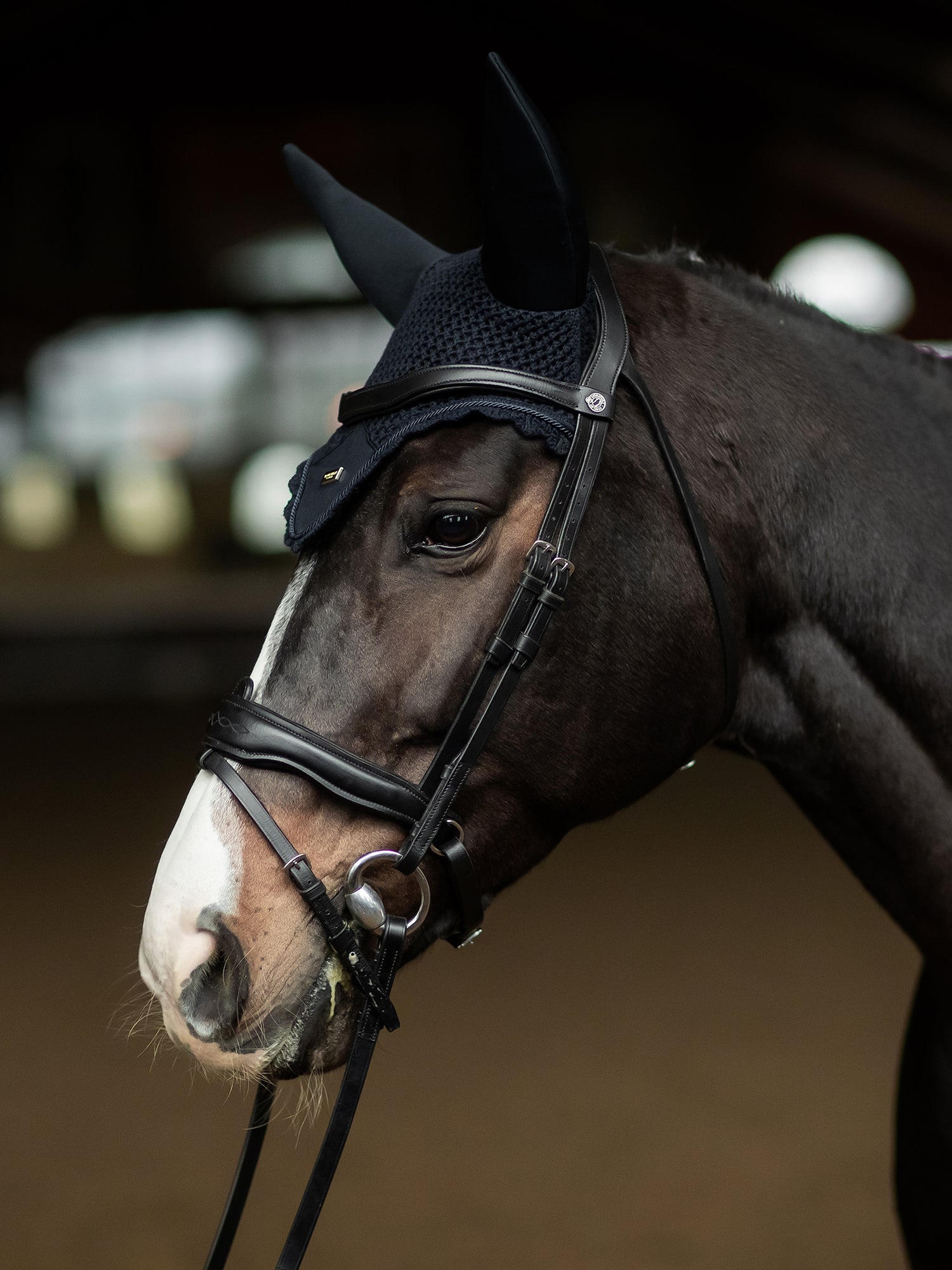 Wattierte Fliegenhaube Navy Gold