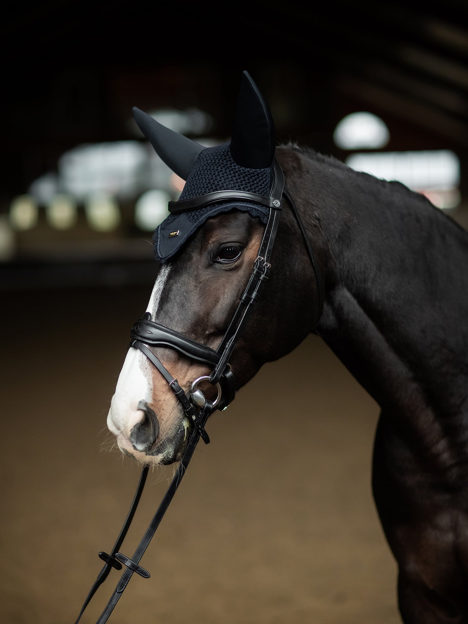 Soundless Ear Bonnet Navy Gold