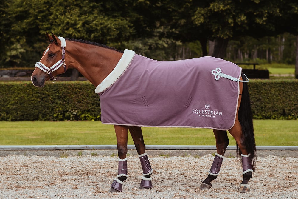 Brushing Boots Orchid Bloom