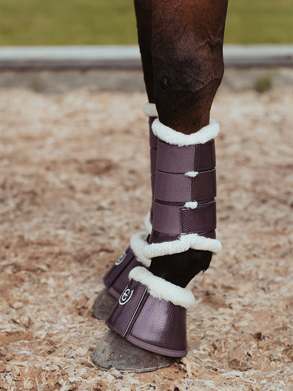 Brushing Boots Orchid Bloom