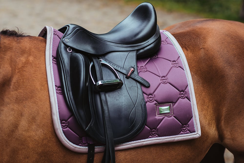 Dressyrschabrak Orchid Bloom